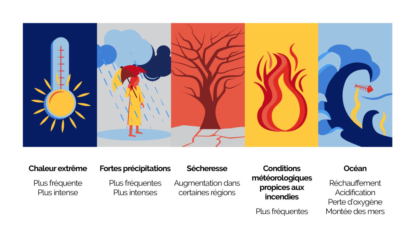 Adaptation climatique : comment les entreprises peuvent se préparer ?